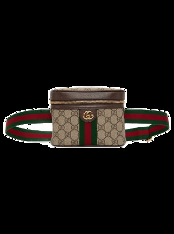 Gucci Ophidia Belt Bag 699765 96IWG