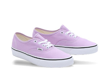 Vans Chaussures Color Theory VN0009PVBUG